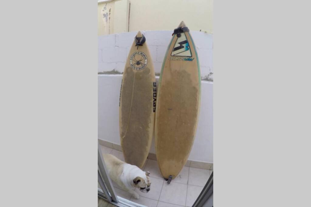 Surfboards Included In Your Stay!!! Tijuana Eksteriør billede